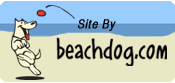 beachdogtag beachdogtag